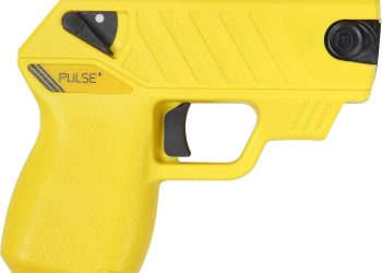 Gobierno autoriza adquisición de pistolas taser para Carabineros en plan piloto contra violencia intrafamiliar
