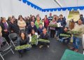 INIA Raihuén entrega plantas de frutilla a agricultores del Maule