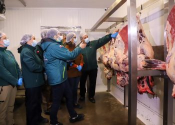 Ministerio de Agricultura refuerza fiscalización del SAG y llama a comprar carne en lugares autorizados en vísperas de Fiestas Patrias