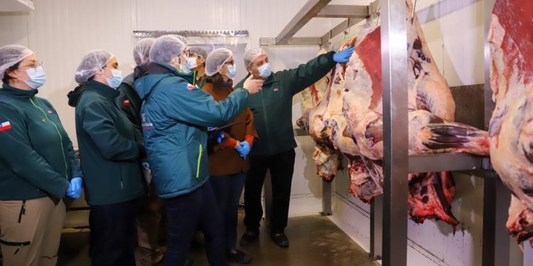 Ministerio de Agricultura refuerza fiscalización del SAG y llama a comprar carne en lugares autorizados en vísperas de Fiestas Patrias