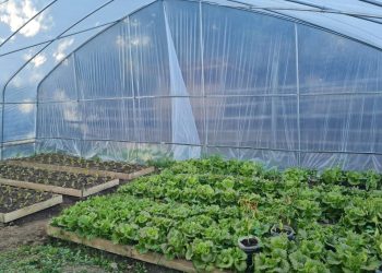 Grupo de mujeres de la cuenca del Mataquito comienza programa de capacitación técnica