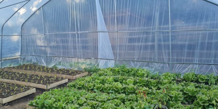 Grupo de mujeres de la cuenca del Mataquito comienza programa de capacitación técnica