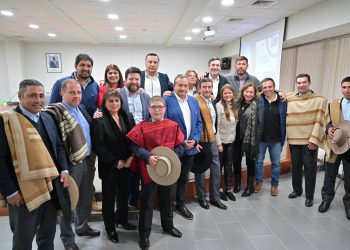 Maule impulsa a sus talentos: Consejo Regional aprueba recursos para deportistas y proyecto cultural