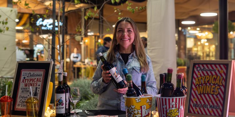 Emprendedores de Market Maule y viñedos locales dieron vida a la celebración del Día del Vino
