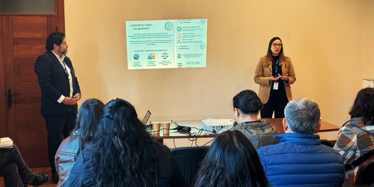 Primer centro de salud mental comunitaria provincial se alista en Cauquenes