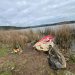 Detectan indicios de pesca ilegal en la Reserva Nacional Laguna Torca 