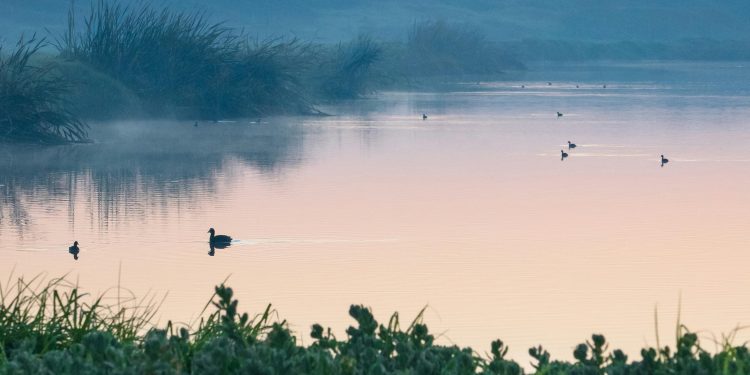 ¿Por qué son tan importantes los ríos y humedales para enfrentar la crisis climática?