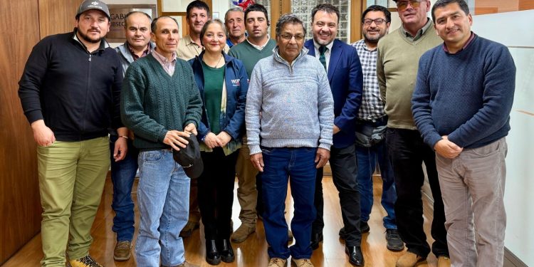 Productores arroceros del Maule se reunieron con subsecretario de Agricultura para abordar desafíos del sector