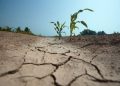Déficit de lluvias marca un invierno frío y proyecta primavera seca y calurosa