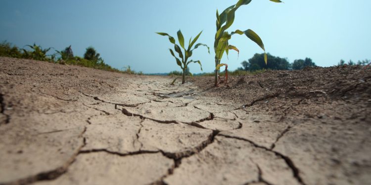 Déficit de lluvias marca un invierno frío y proyecta primavera seca y calurosa