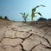 Déficit de lluvias marca un invierno frío y proyecta primavera seca y calurosa