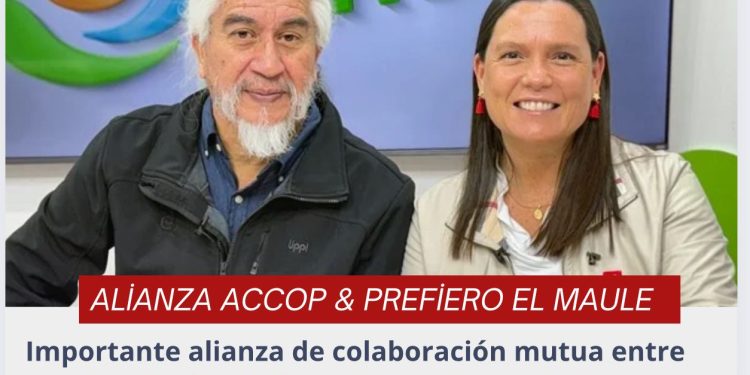 Prefiero el Maule y ACCOP sellan alianza para impulsar el emprendimiento con herramientas de coaching