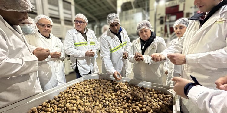 ProChile conecta a exportadores de nueces con mercados internacionales