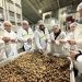 ProChile conecta a exportadores de nueces con mercados internacionales