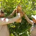 El SAG hace un llamado a la ciudadanía a colaborar para mantener a Chile libre de la mosca de la fruta