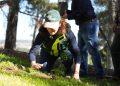 Talca reforesta su Bosque Municipal a través de 7 mil 500 árboles nativos