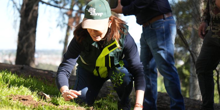 Talca reforesta su Bosque Municipal a través de 7 mil 500 árboles nativos