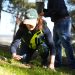 Talca reforesta su Bosque Municipal a través de 7 mil 500 árboles nativos