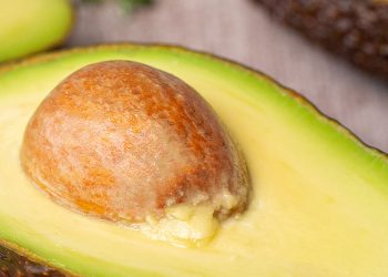 ¿Por qué las paltas peruanas han estado bajo la lupa?