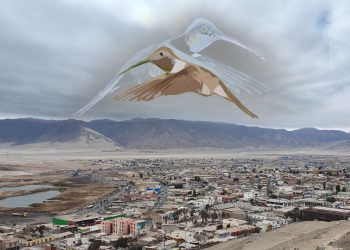 “El movimiento del colibrí” llega gratuitamente a Curicó y Talca: Teatro y ciencia se unen para hacer memoria a 10 años del aluvión de Atacama