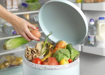 Desperdiciar alimentos en casa podría costarles a las familias chilenas hasta $300.000 anuales