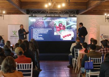 Curicó proyecta liderazgo en producción de cerezas con exitoso conversatorio