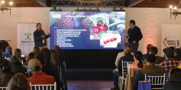 Curicó proyecta liderazgo en producción de cerezas con exitoso conversatorio