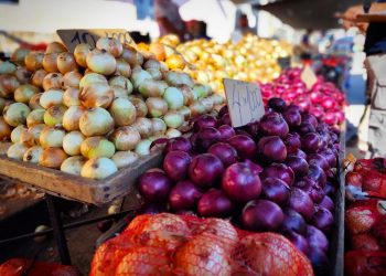 Feriantes de Parral se adjudican proyecto de Sercotec para mejorar sus condiciones de trabajo