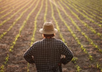 Expertos llaman a anticiparse: mantener los sistemas de riego es clave antes del verano