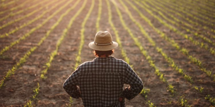 Expertos llaman a anticiparse: mantener los sistemas de riego es clave antes del verano
