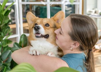 Edificios “pet friendly”: la respuesta del mercado inmobiliario al aumento de mascotas en el hogar