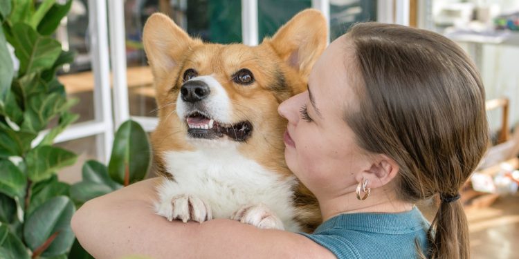 Edificios “pet friendly”: la respuesta del mercado inmobiliario al aumento de mascotas en el hogar