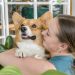 Edificios “pet friendly”: la respuesta del mercado inmobiliario al aumento de mascotas en el hogar