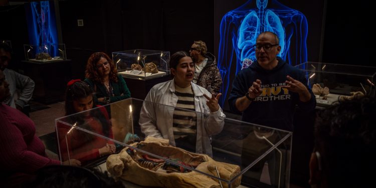Bodies evolution: Cuerpos humanos reales llegan a Talca