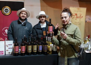 Talca da inicio al Boulevard del Vino 2025 en Parque Río Claro: un fin de semana mundialero con vino, arte, gastronomía y música en vivo