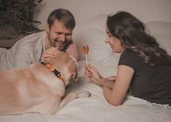 Tips para convivir con mascotas y cuidar nuestra ropa