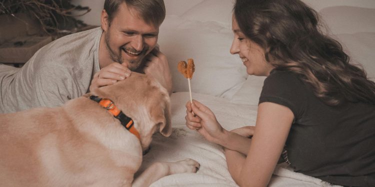 Tips para convivir con mascotas y cuidar nuestra ropa