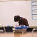 Matemáticas para PAES: las clases online más demandadas en Chile