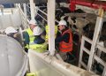 934 vaquillas serán enviadas a Malasia luego de cumplir cuarentena sanitaria en Linares
