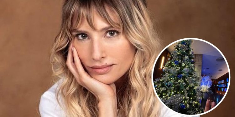 Fallo en caso de María Elena Swett reabre discusión sobre Violencia Vicaria y vínculos parentales