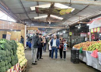 Felicur se adjudicó Programa Ferias Libres 2025 de Sercotec