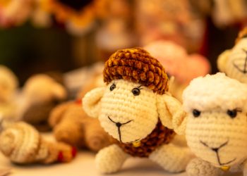 Ruta Descubre el Maule reunió a la comunidad en Pencahue