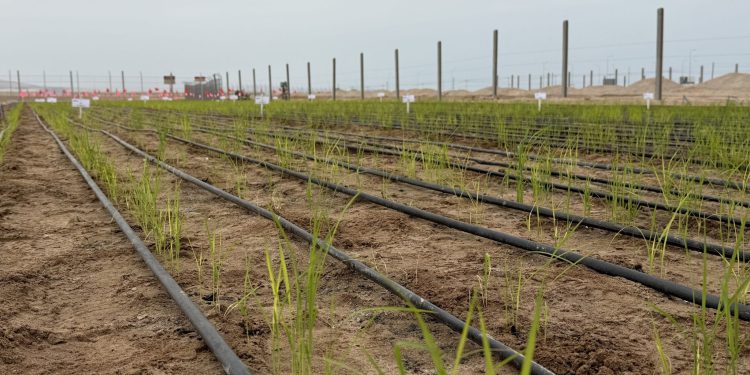 De Norte a Sur: Cómo el calentamiento global borra las fronteras climáticas del país
