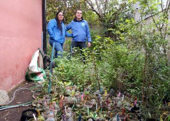 Protección y conservación del ruil también suma esfuerzos comunitarios