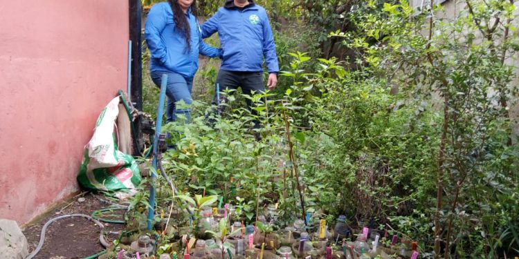 Protección y conservación del ruil también suma esfuerzos comunitarios