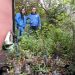 Protección y conservación del ruil también suma esfuerzos comunitarios