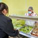 Piloto de Salad Bar para estudiantes implementa JUNAEB en Cauquenes, Hualañé, Romeral, Constitución y Curepto