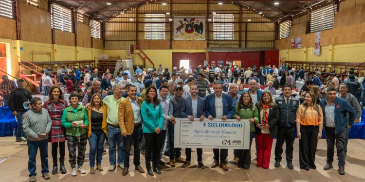 Gobierno del Maule impulsa la reactivación de más de 150 agricultores en Hualañé