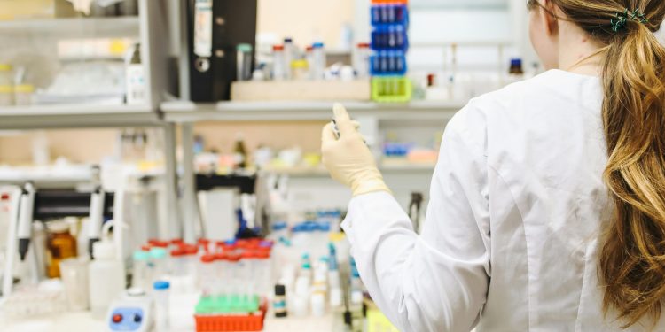 UTalca abre carrera de Química y Farmacia para admisión 2026