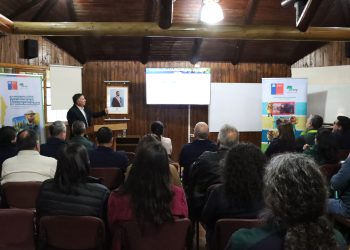 Catastro de CONAF refleja importante cobertura de bosques en territorio maulino